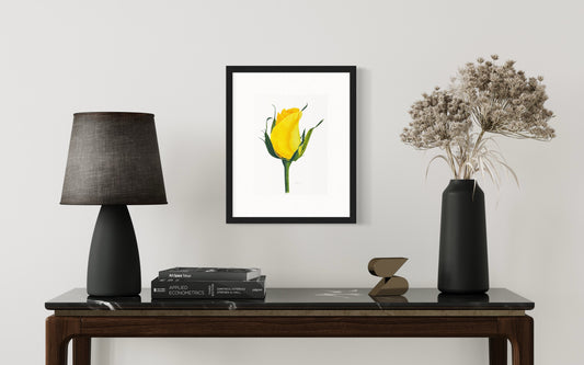 Yellow Rose